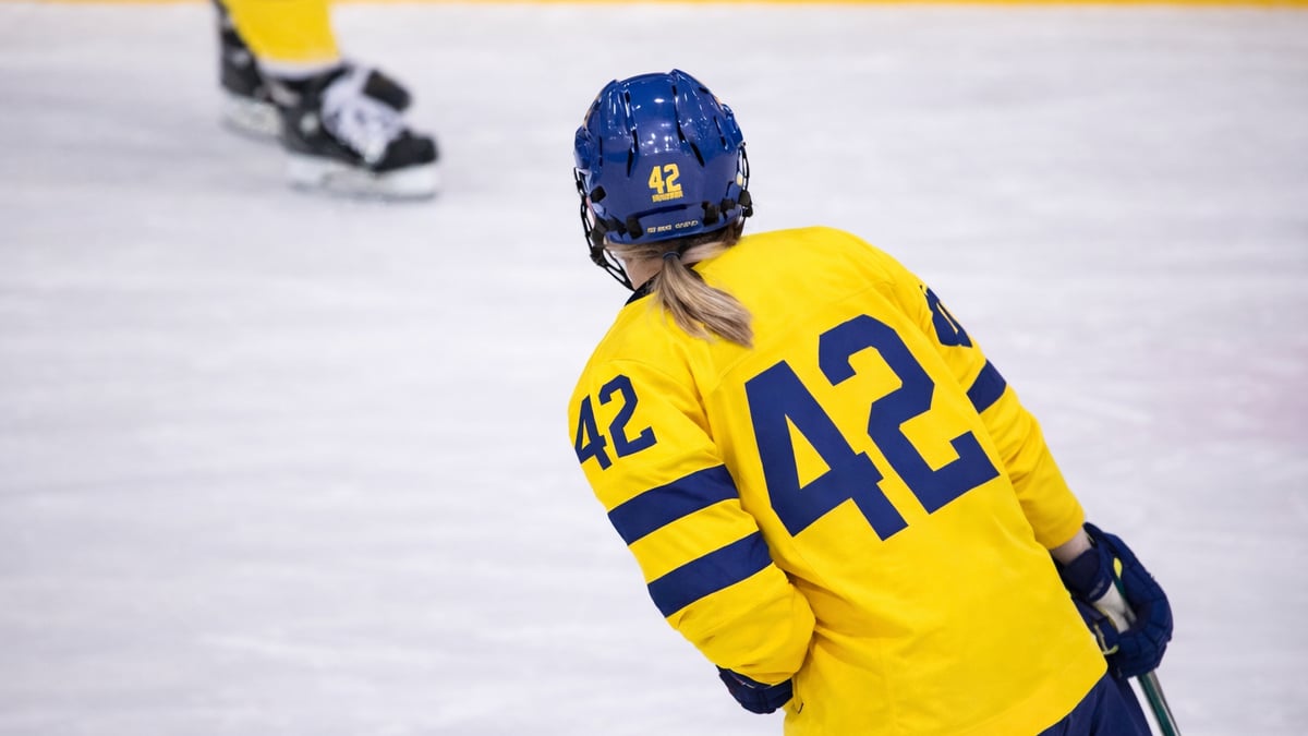 Stillbild från en stor hockeymatch. 