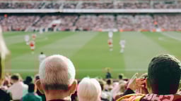 Fans som tittar på en fotbollsmatch med Tottenham.